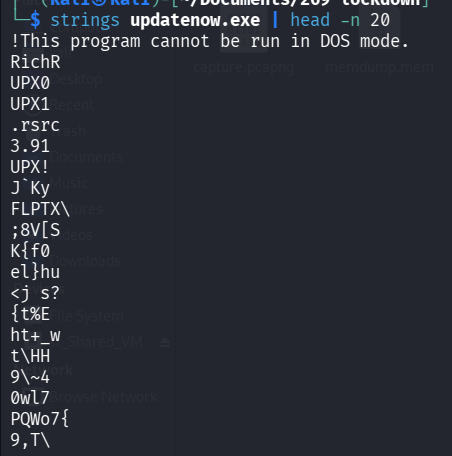 Terminal output running strings updatenow.exe | head -n 20. The output displays the classic “This program cannot be run in DOS mode” stub followed by UPX0, UPX1, and UPX! section signatures.